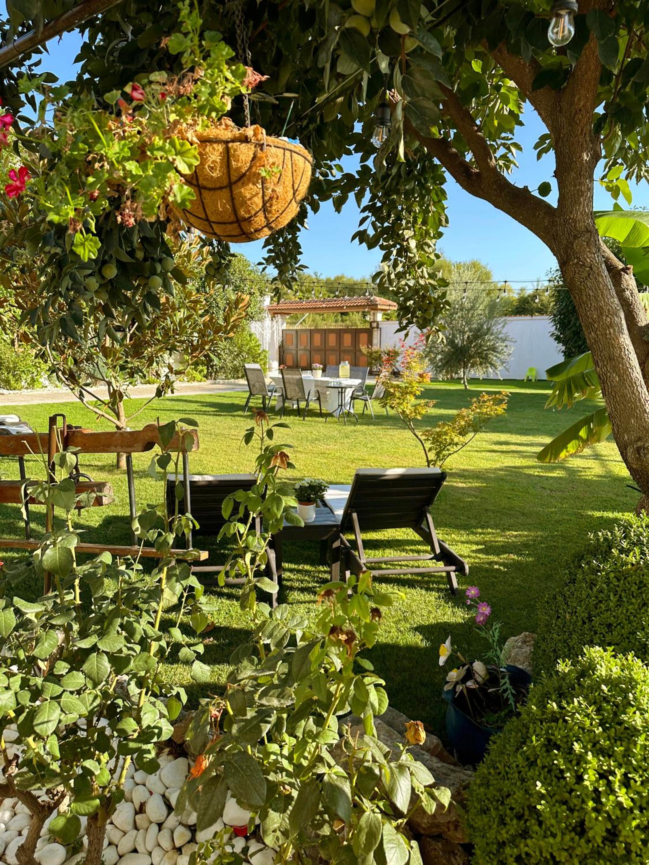 Guest House Doni