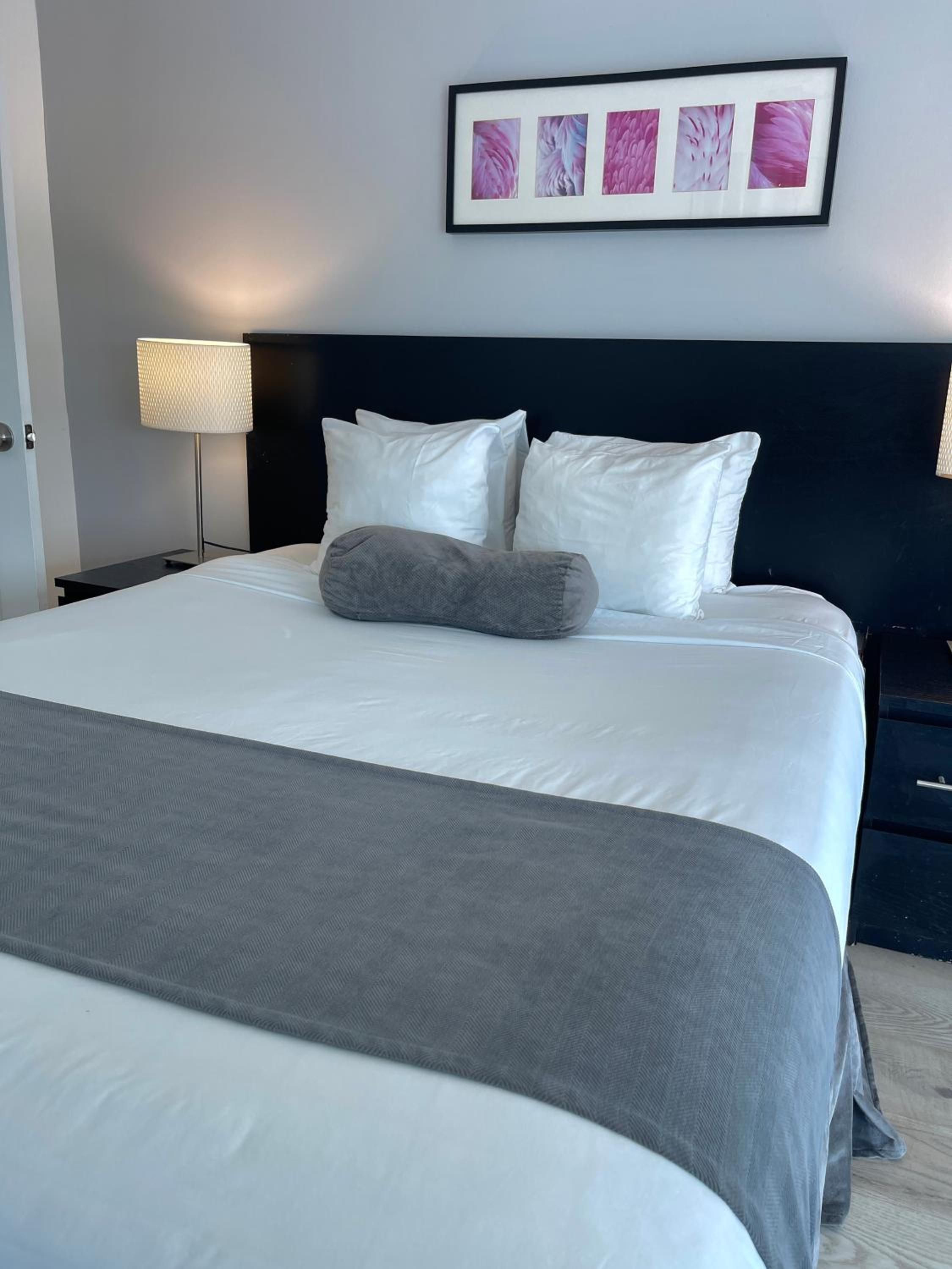 New Point Miami Beach Apartments