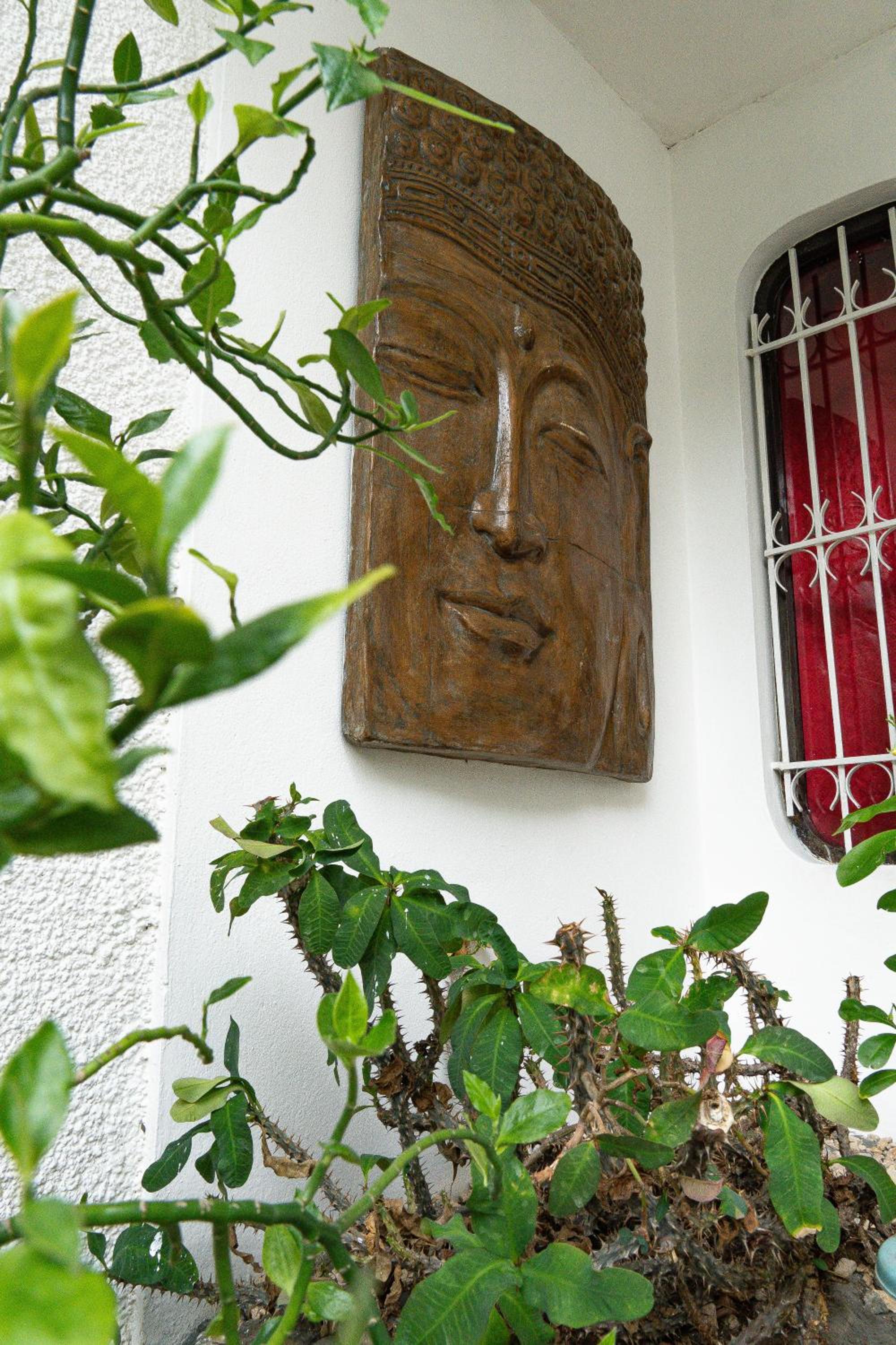 Photo 44