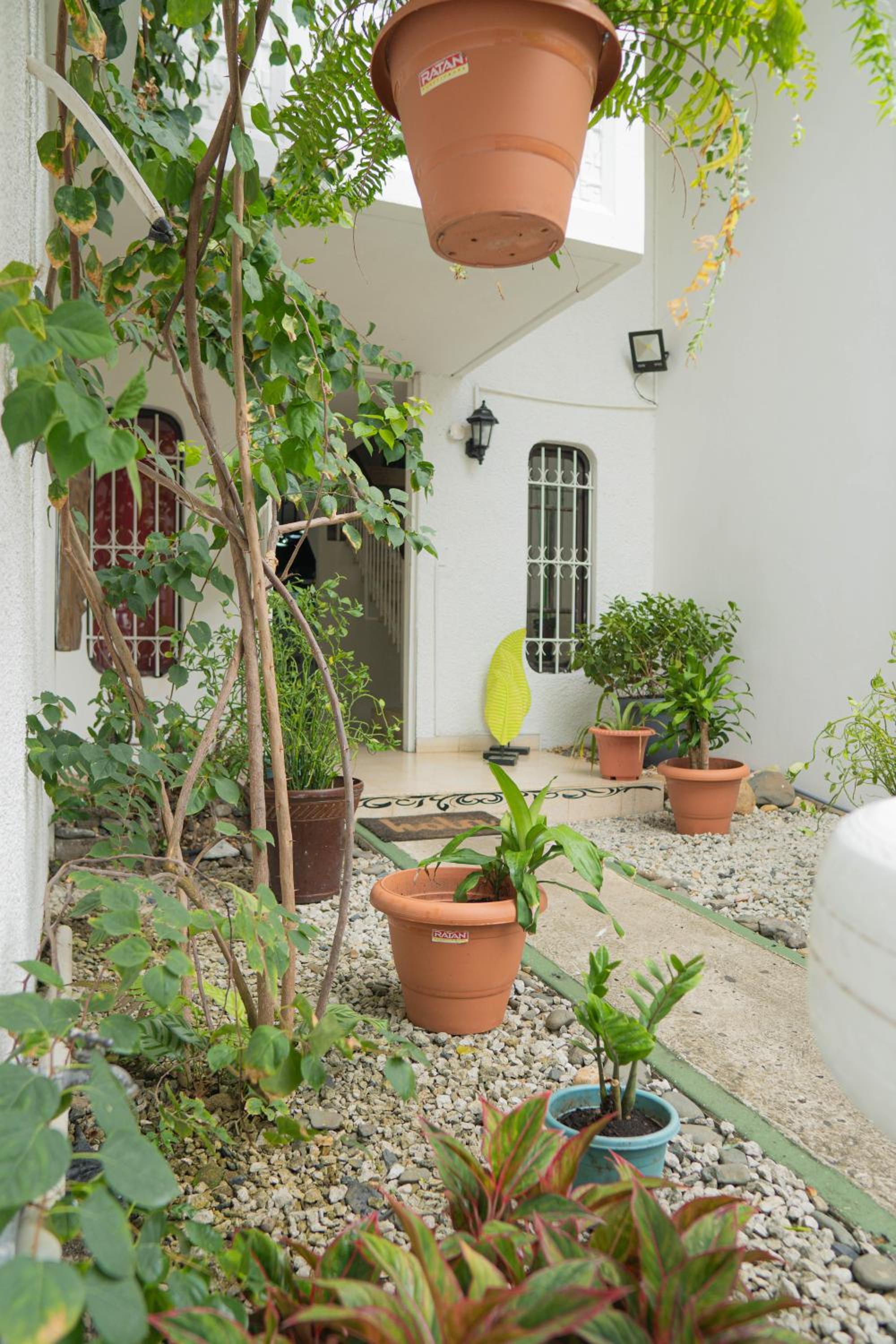 Photo 45
