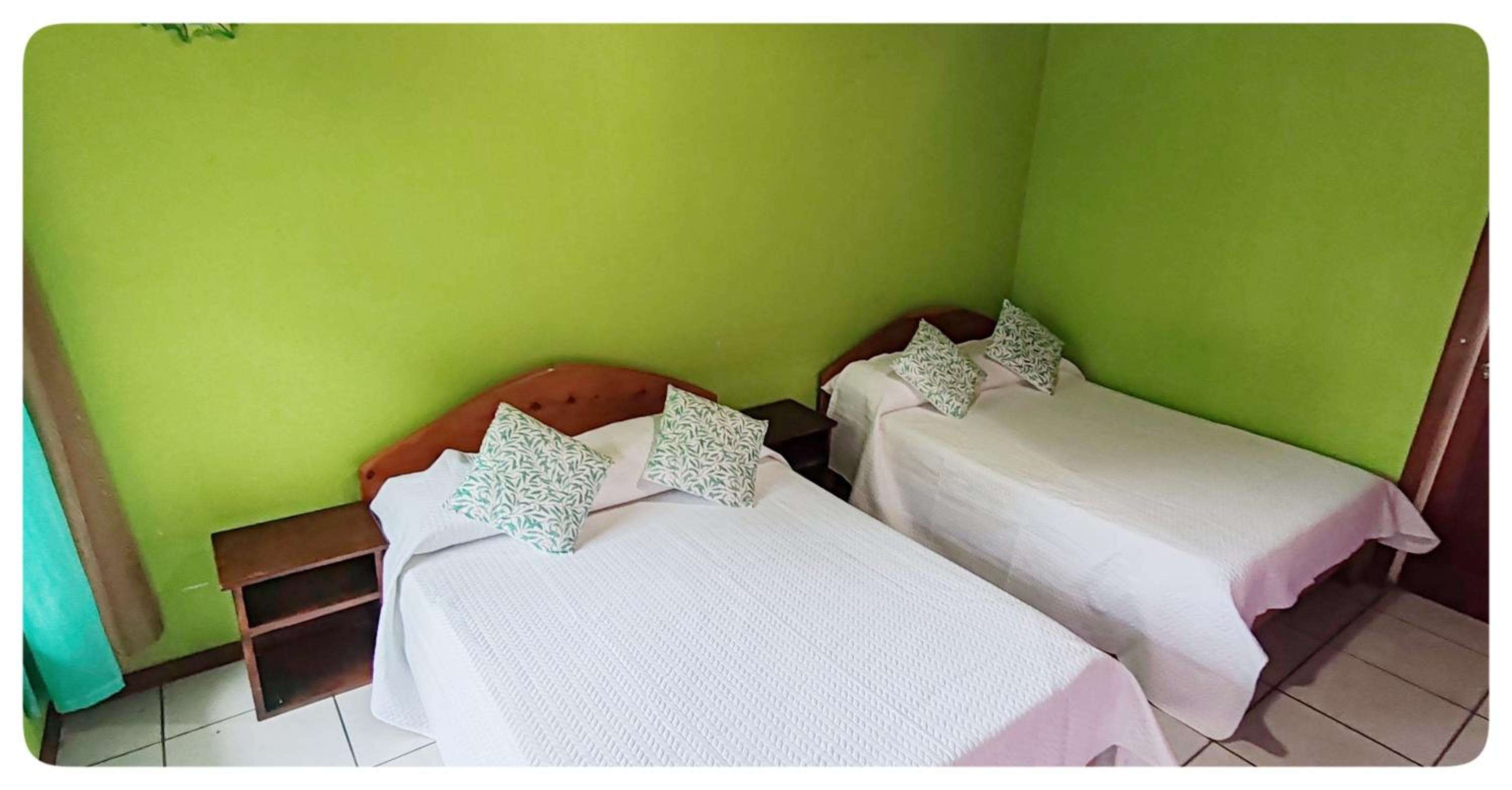 Hotel & Hostel Sloth Backpackers