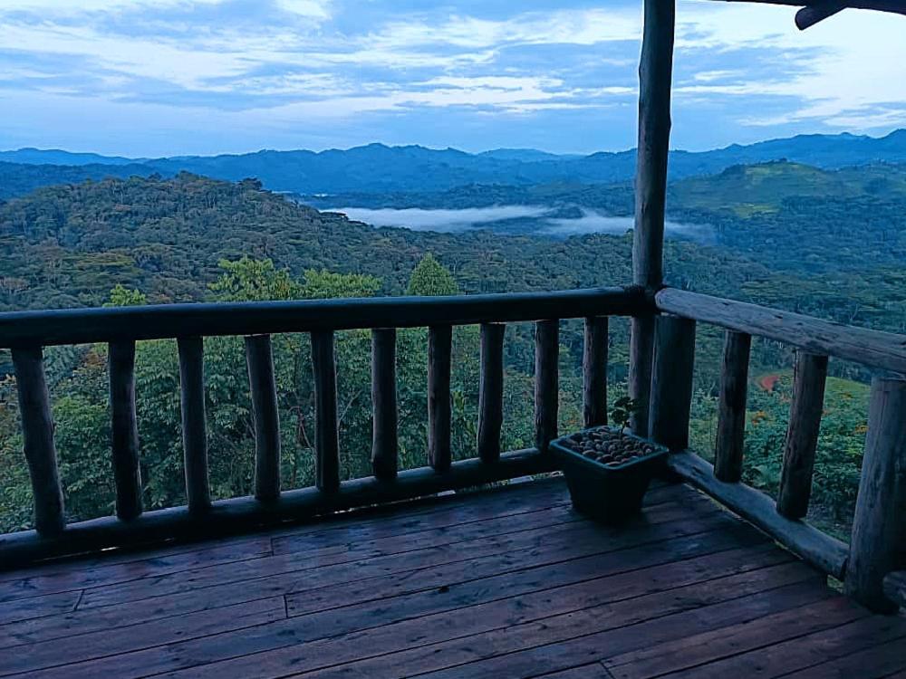 Bwindi Neckview Lodge