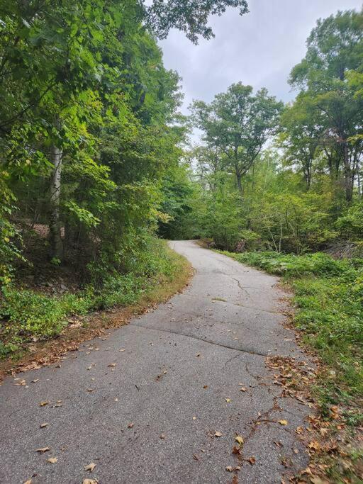 NEW! Peaceful Retreat at Nary Hill view 2
