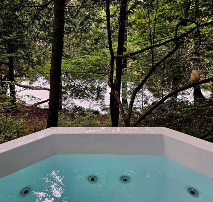 Superbe chalet authentique sur le lac et spa