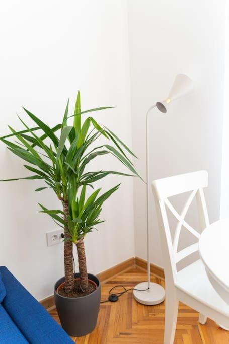 Completely new, Bonbona Apartment Belgrade view 2