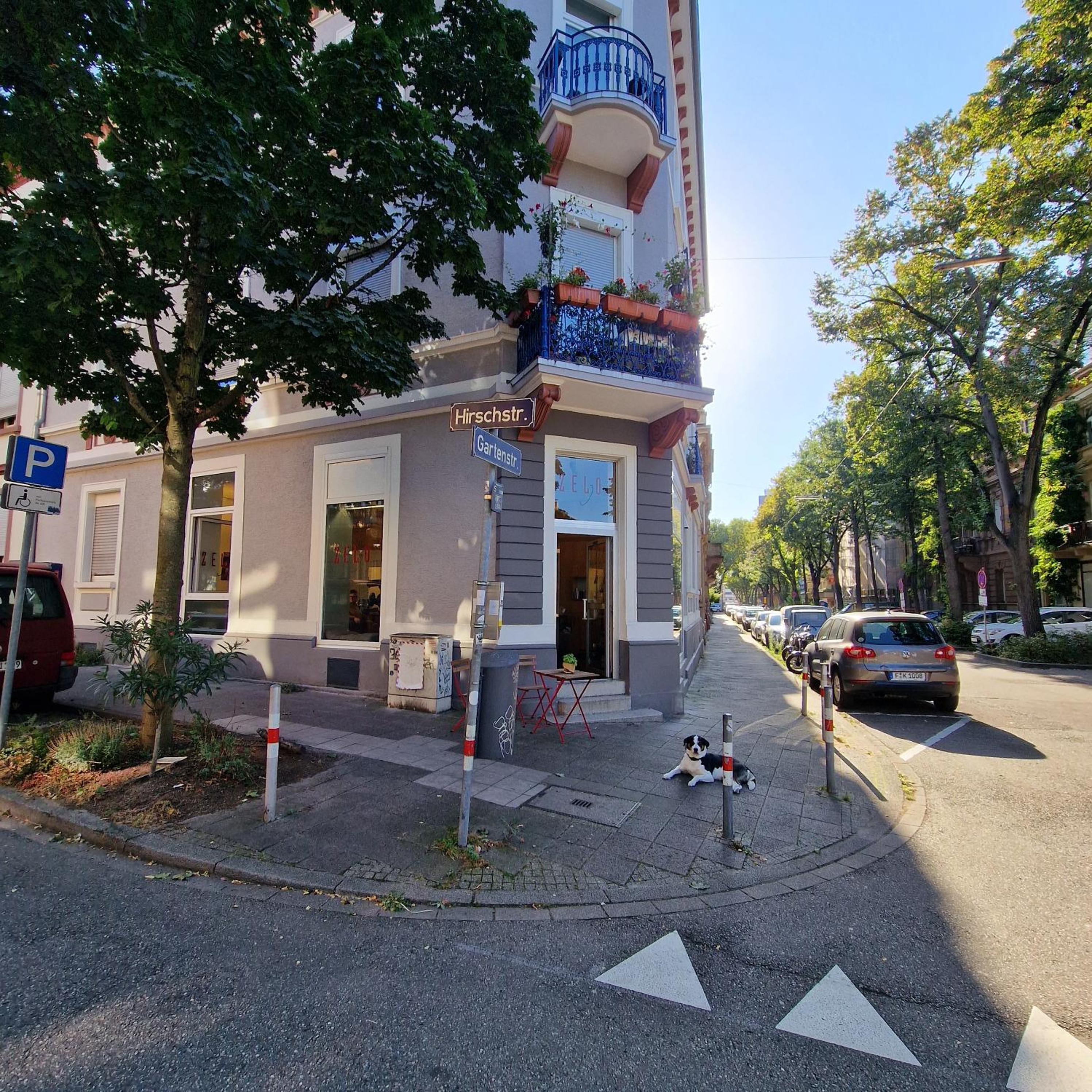 Familienfreundliche geräumige Design-Wohnung mit Balkon im Zentrum - APOLONIAliving