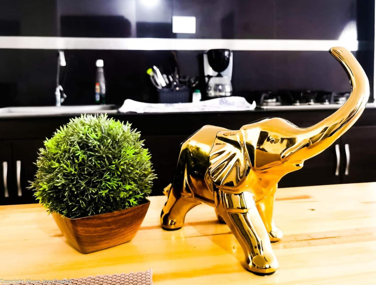 Apartamento BH 201