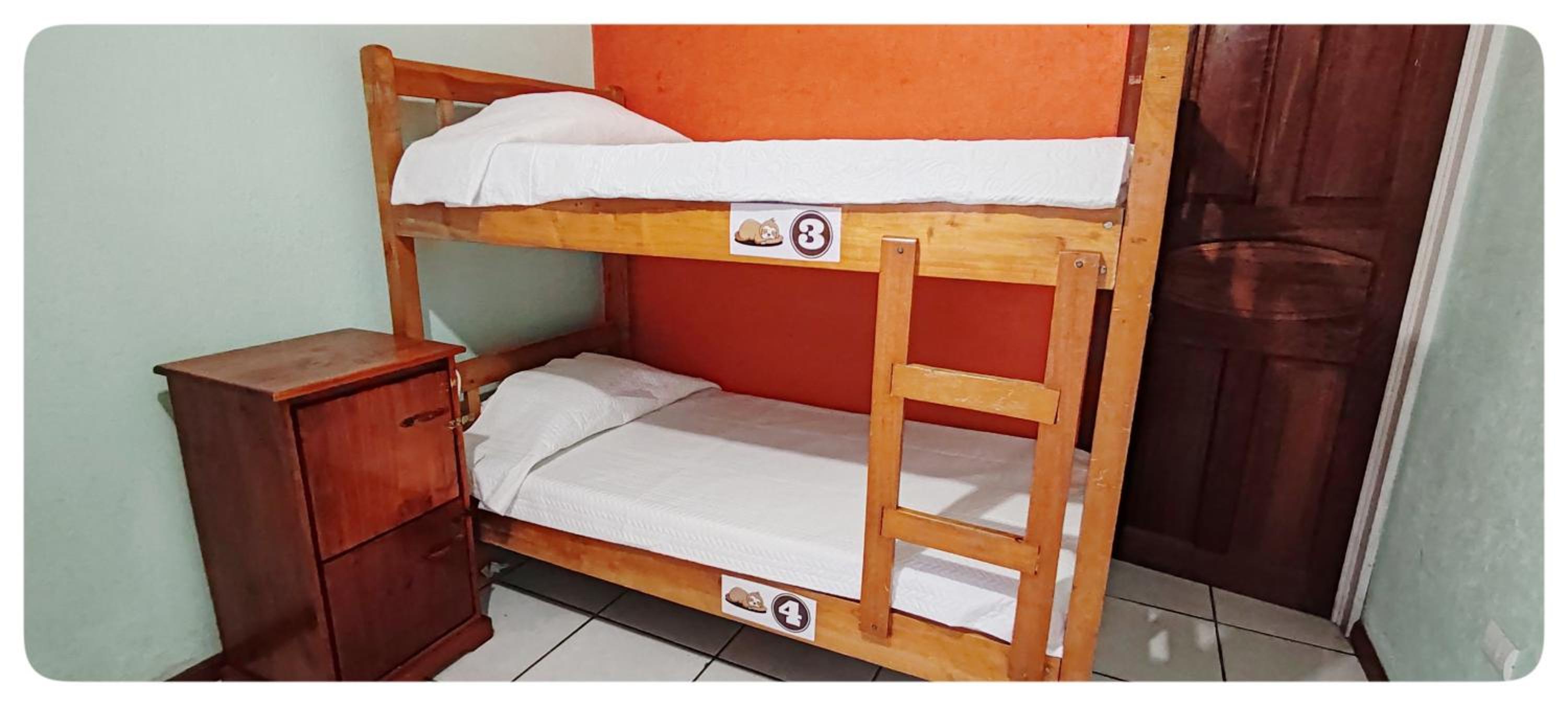 Hotel & Hostel Sloth Backpackers