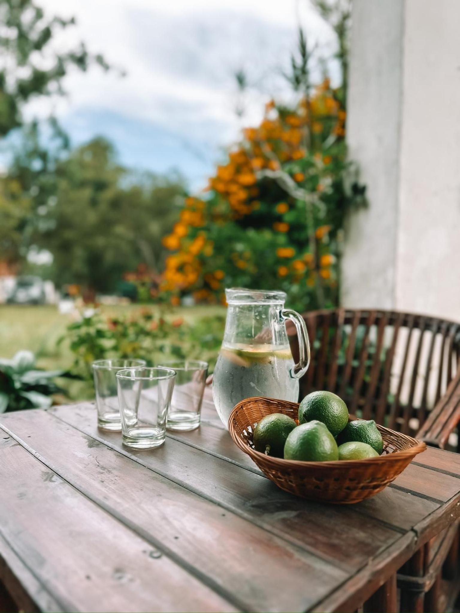 Estancia Buena Vista
