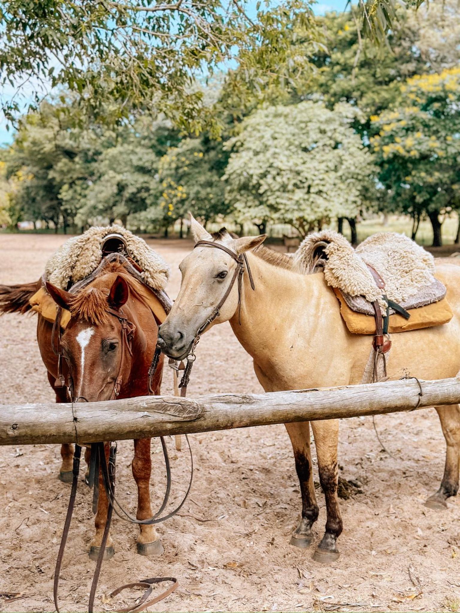 Estancia Buena Vista