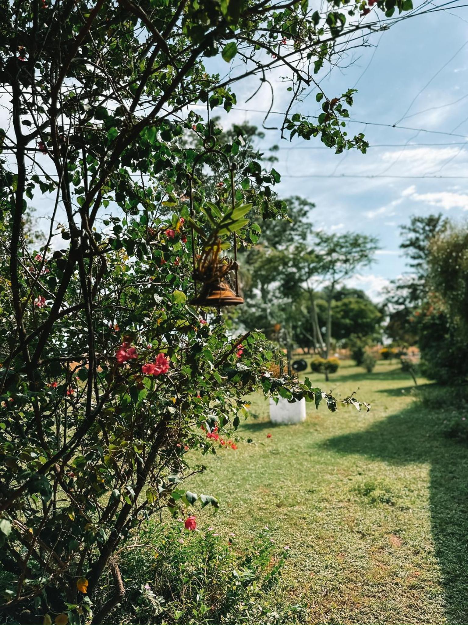 Estancia Buena Vista