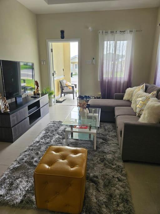 Oceanview Oasis