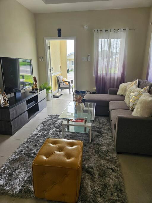 Oceanview Oasis