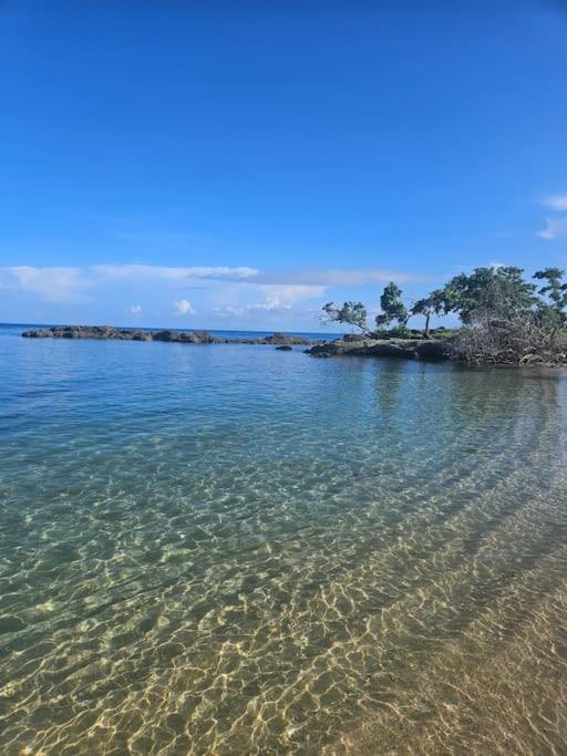 Oceanview Oasis