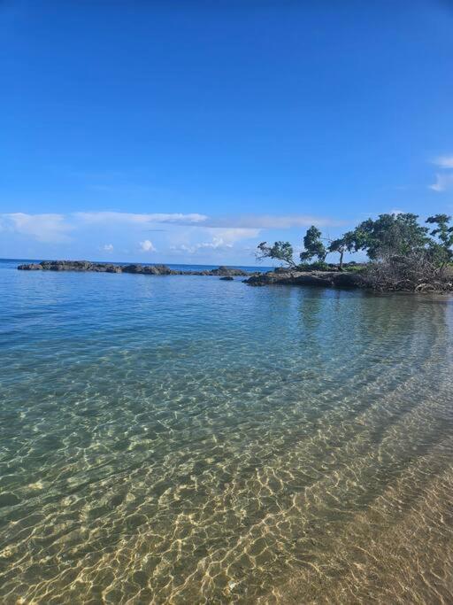 Oceanview Oasis
