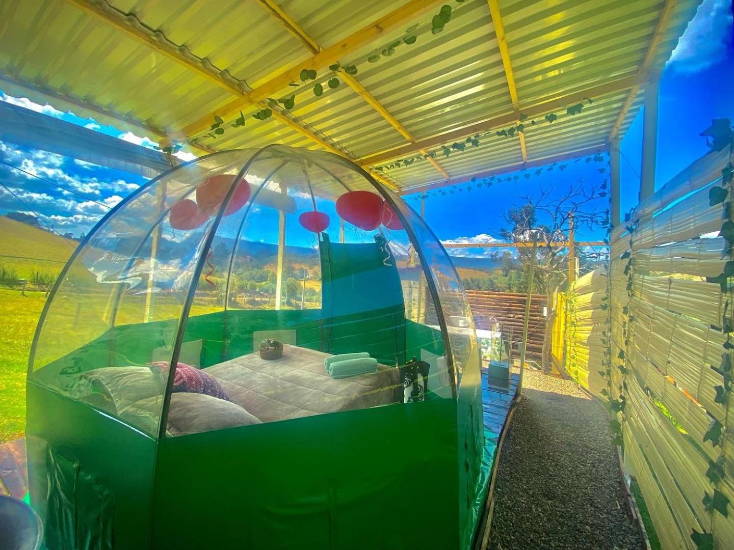 Glamping Luna de Amor