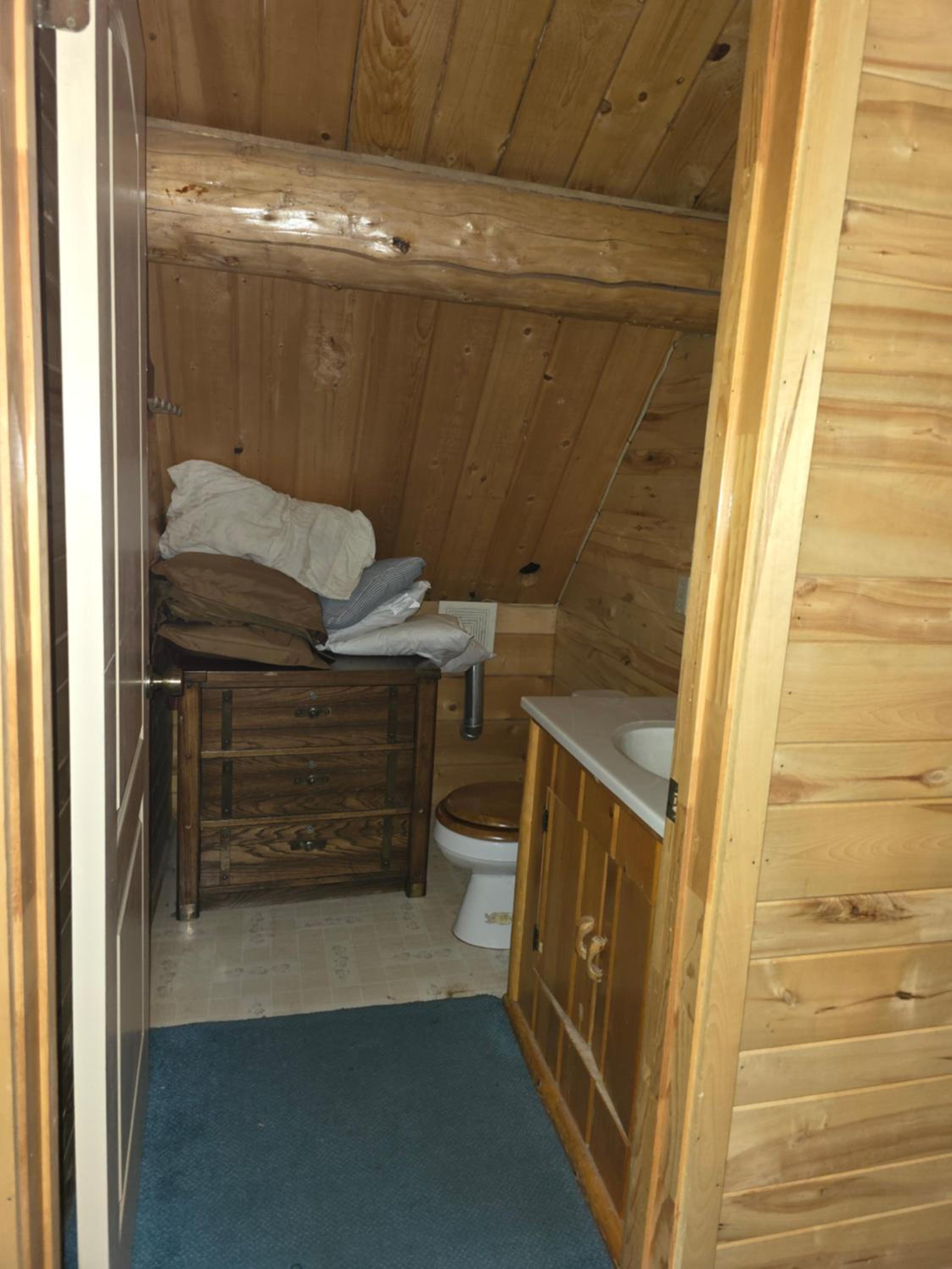 Photo 41