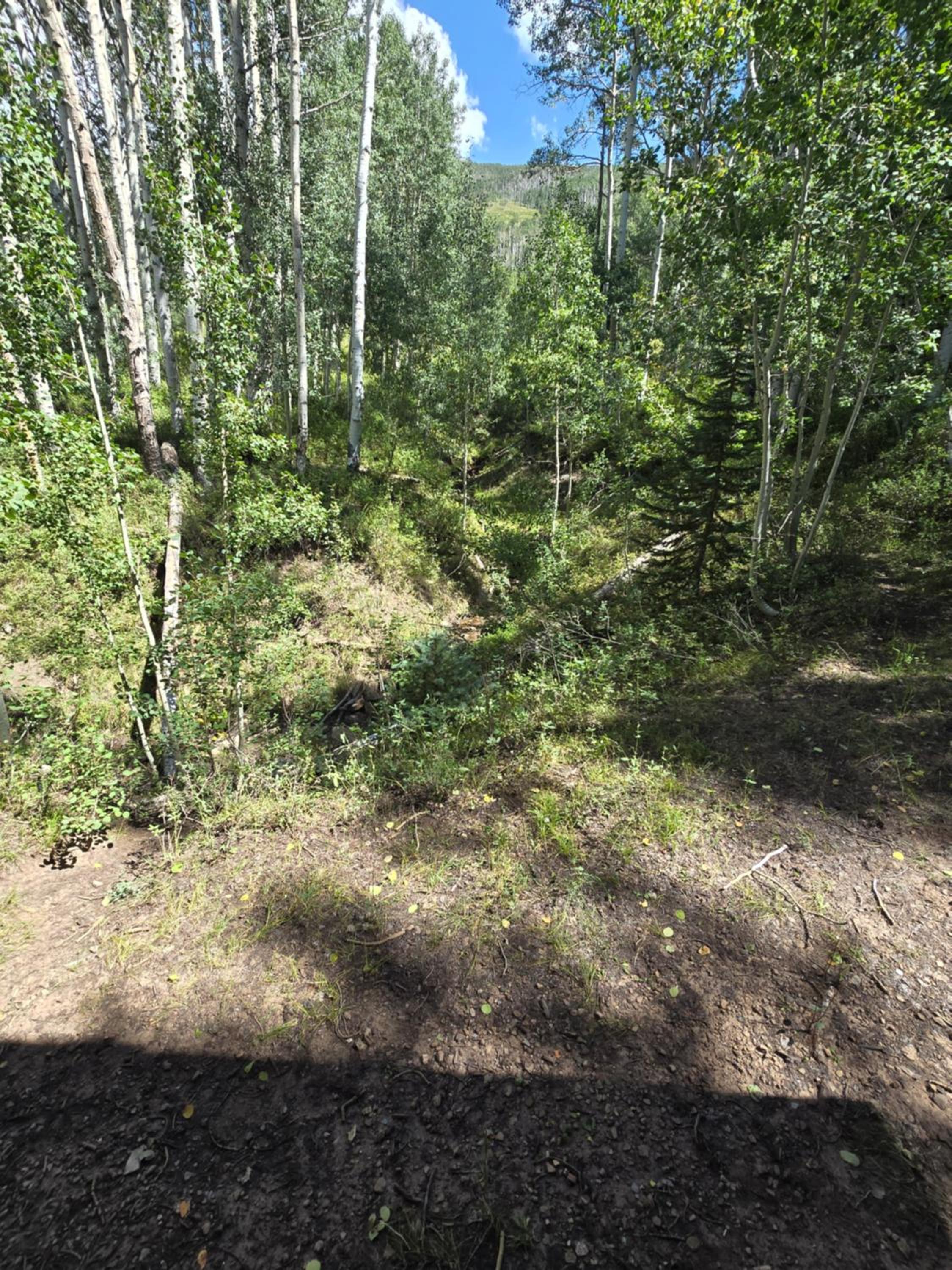 Photo 48