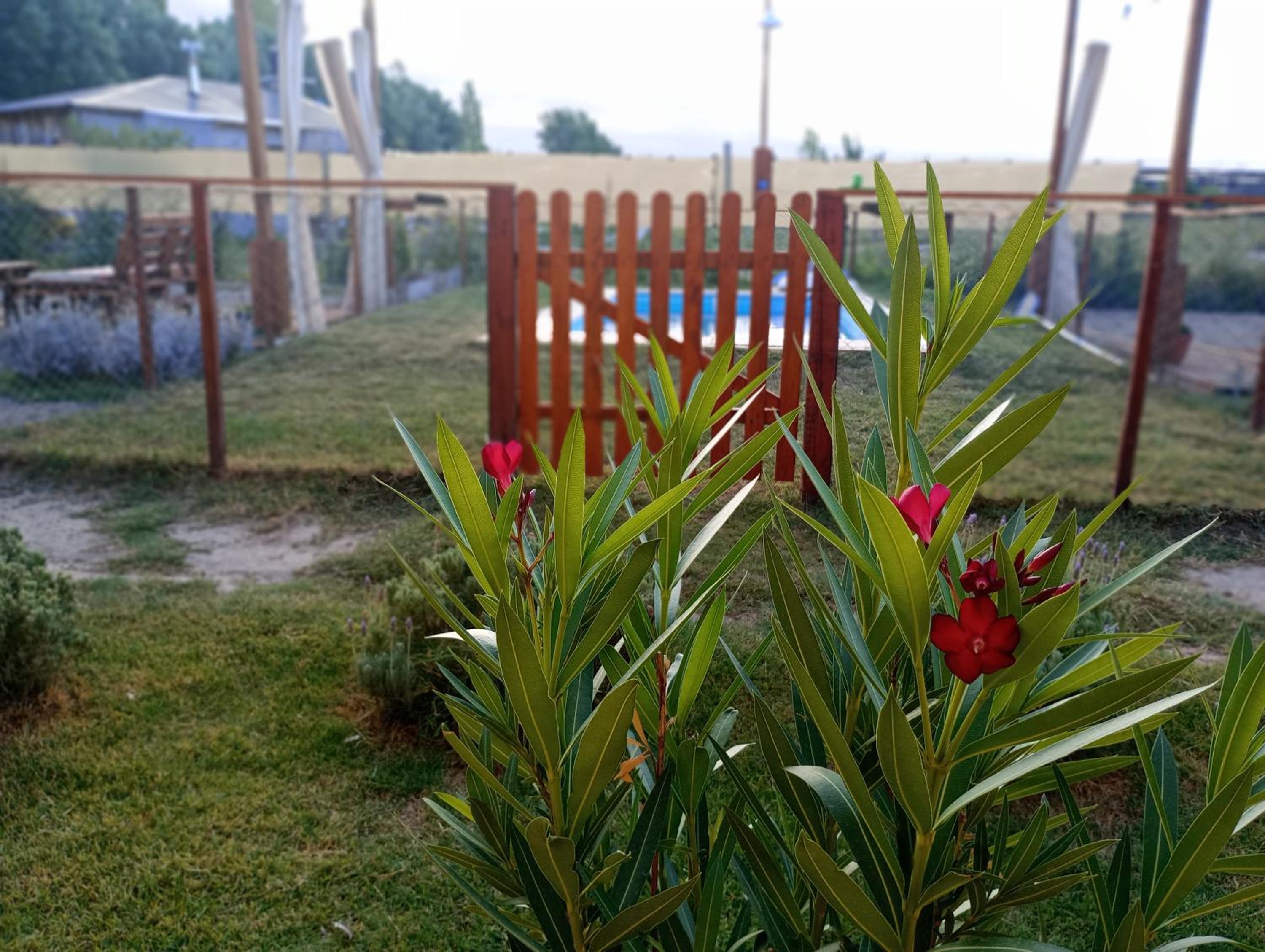 Cabañas mi Terruño