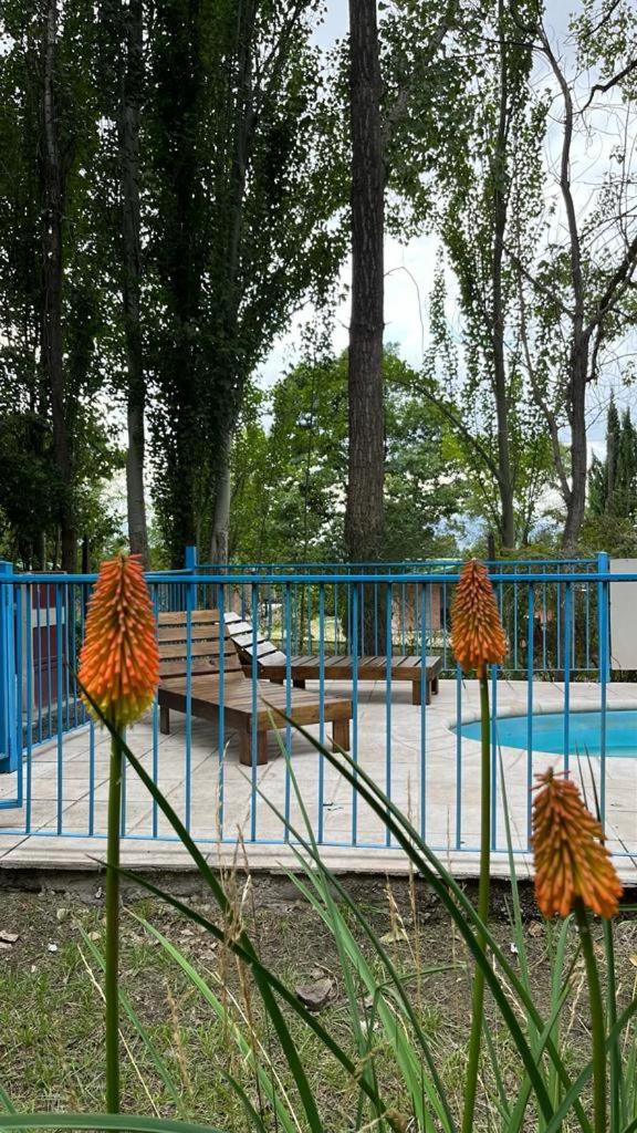 El Pinar Potrerillos