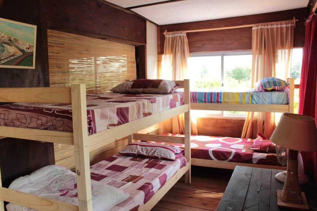cabañasurfcamp
