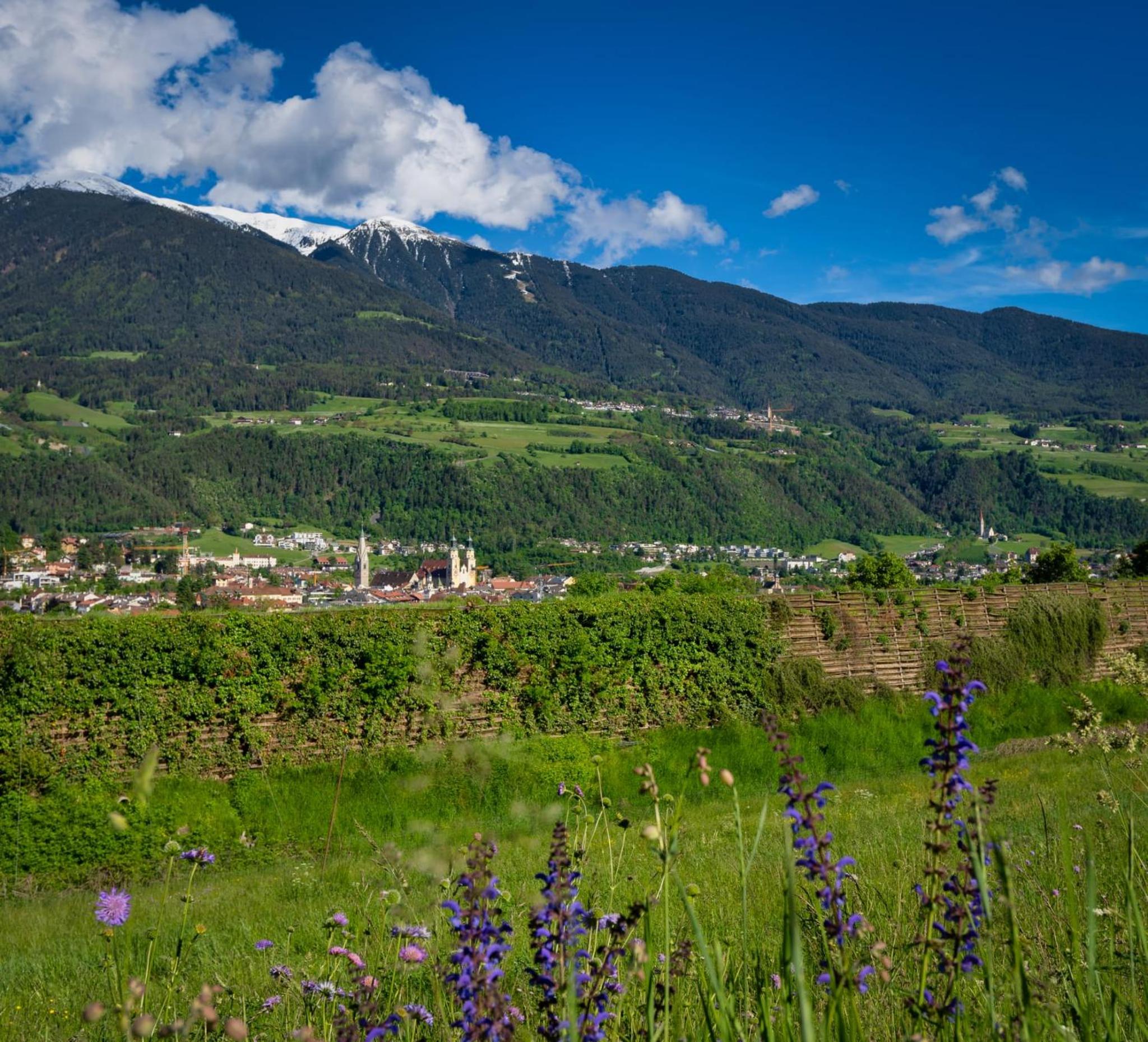 Ferienwohnung Burgfrieden Brixen with BrixenCard view 5