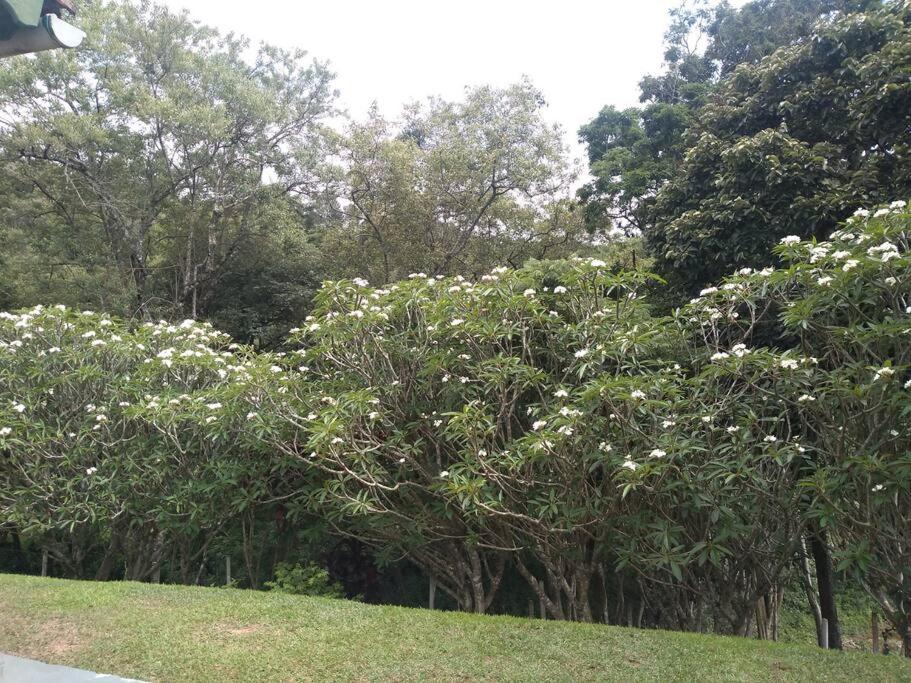Chácara dos Sonhos em Mairiporã