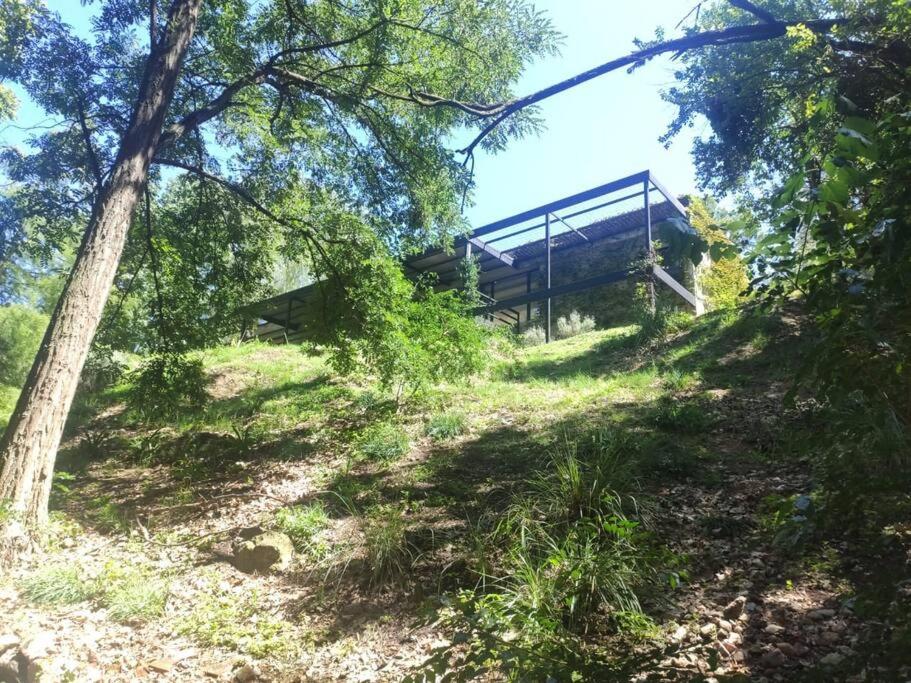 Ascochinga, Los árboles
