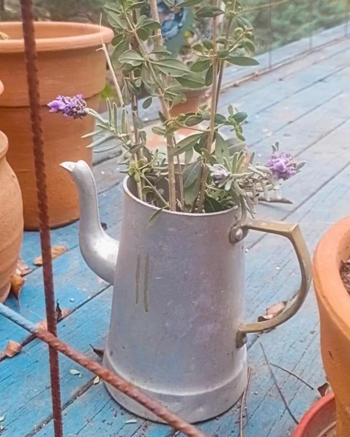 Lacasitadepiedra_Cabana