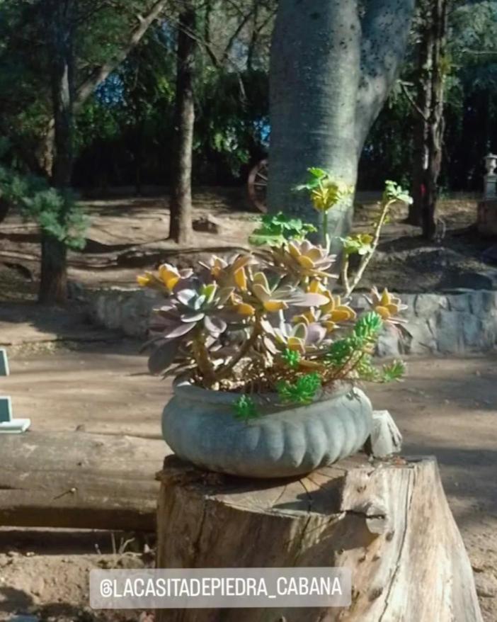 Lacasitadepiedra_Cabana