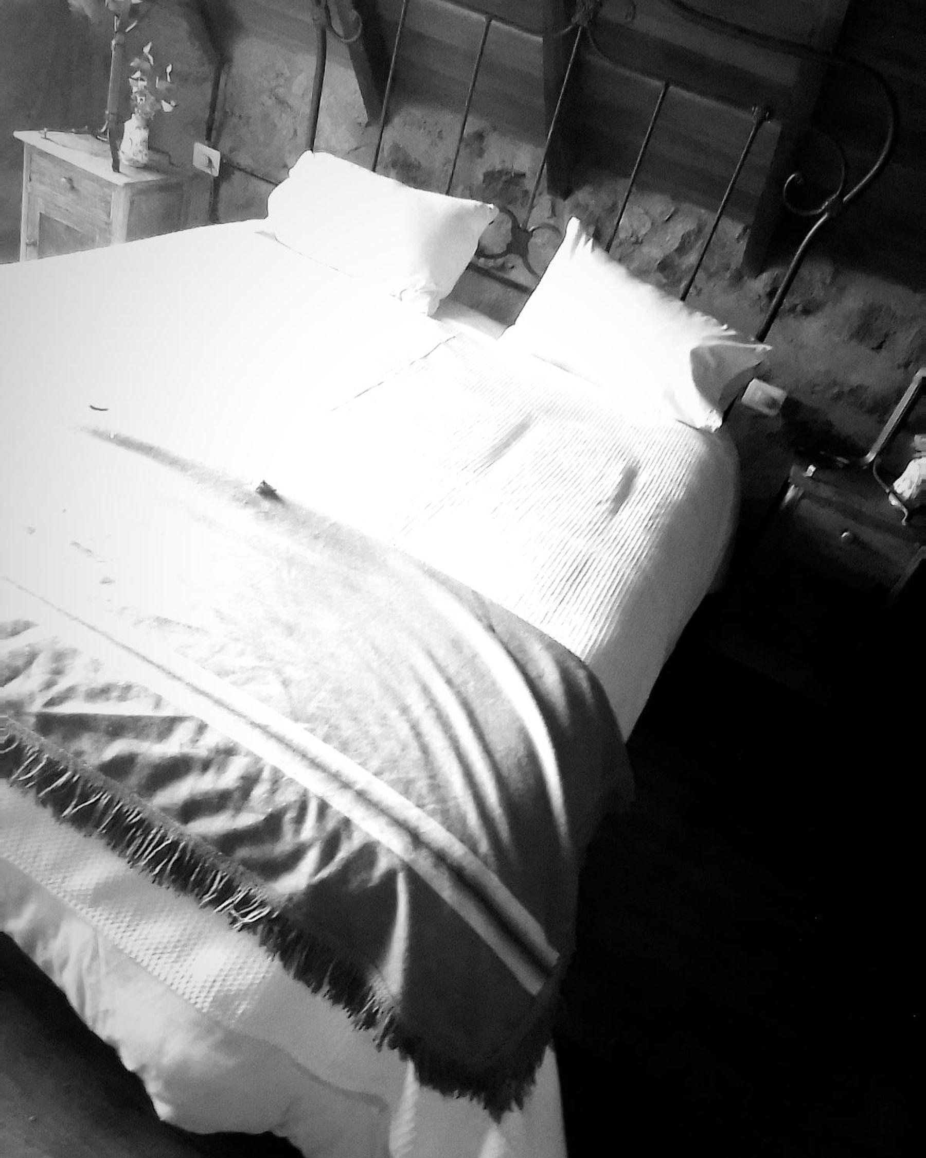 Lacasitadepiedra_Cabana