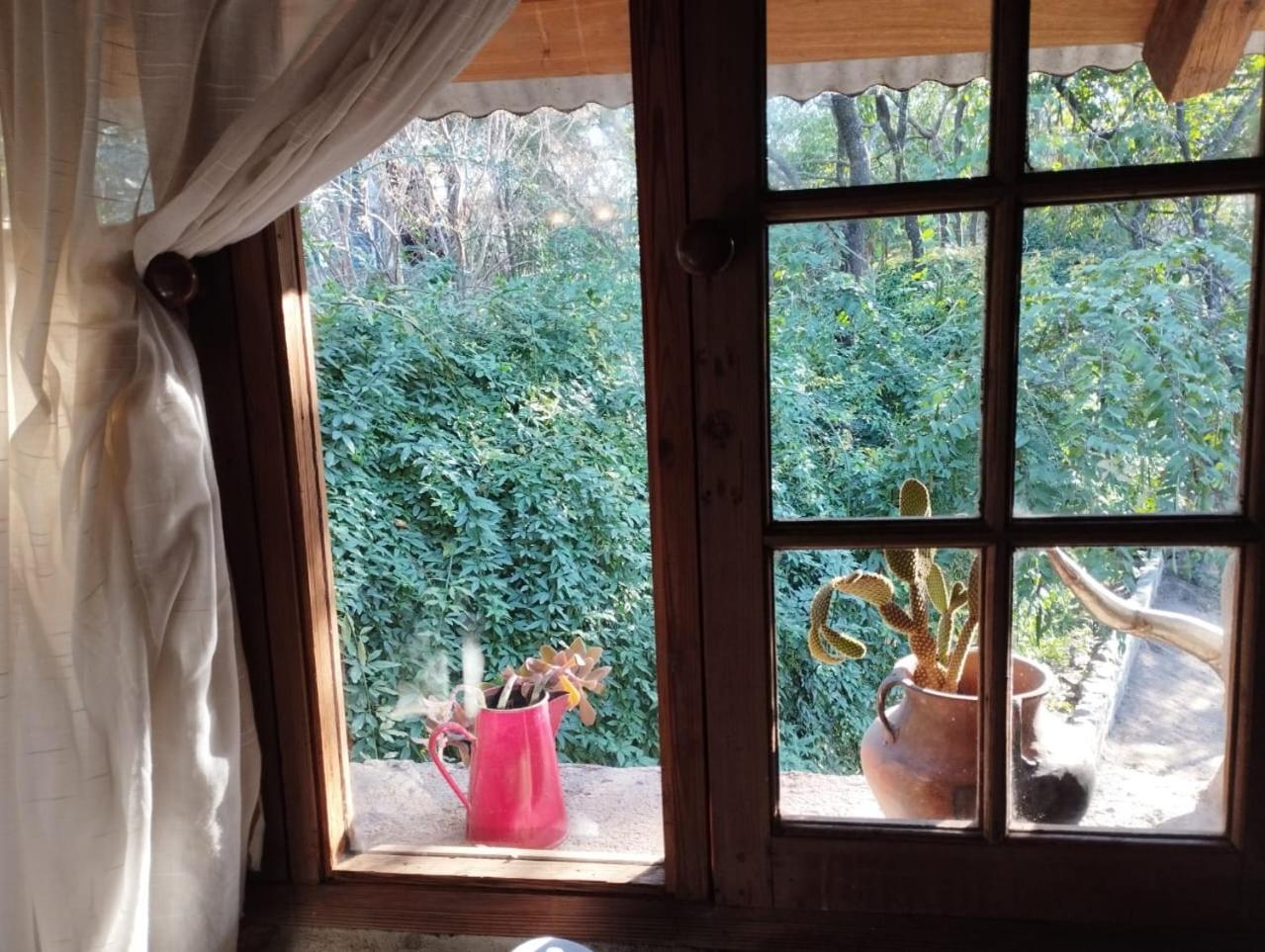 Lacasitadepiedra_Cabana