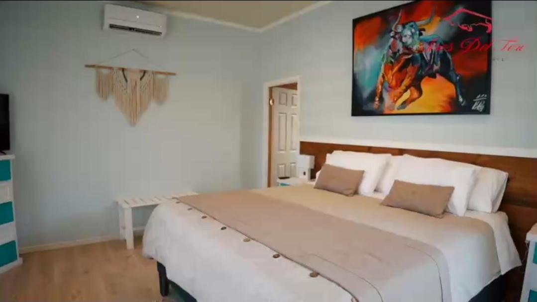 Cabañas Aires del Toro, Boutique & BB -Curacavi