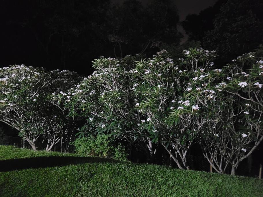 Chácara dos Sonhos em Mairiporã