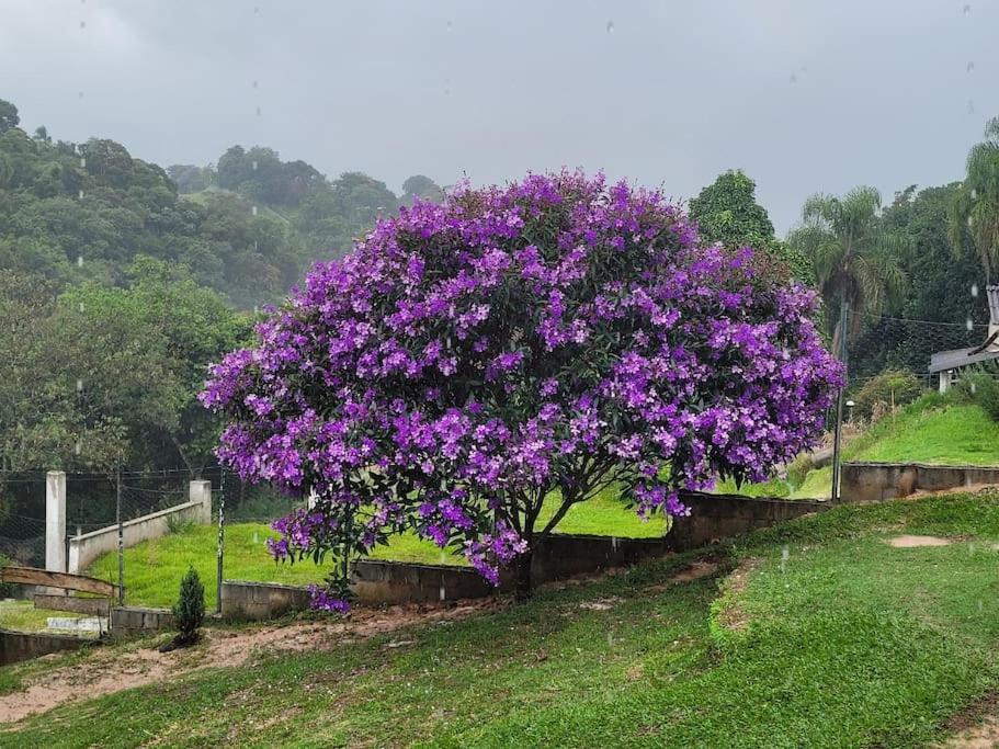 Chácara dos Sonhos em Mairiporã