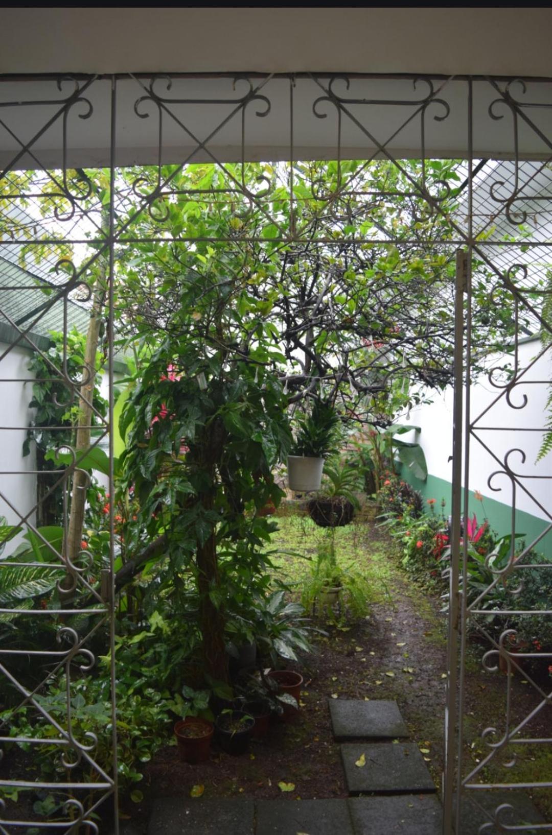 Linda y céntrica habitación