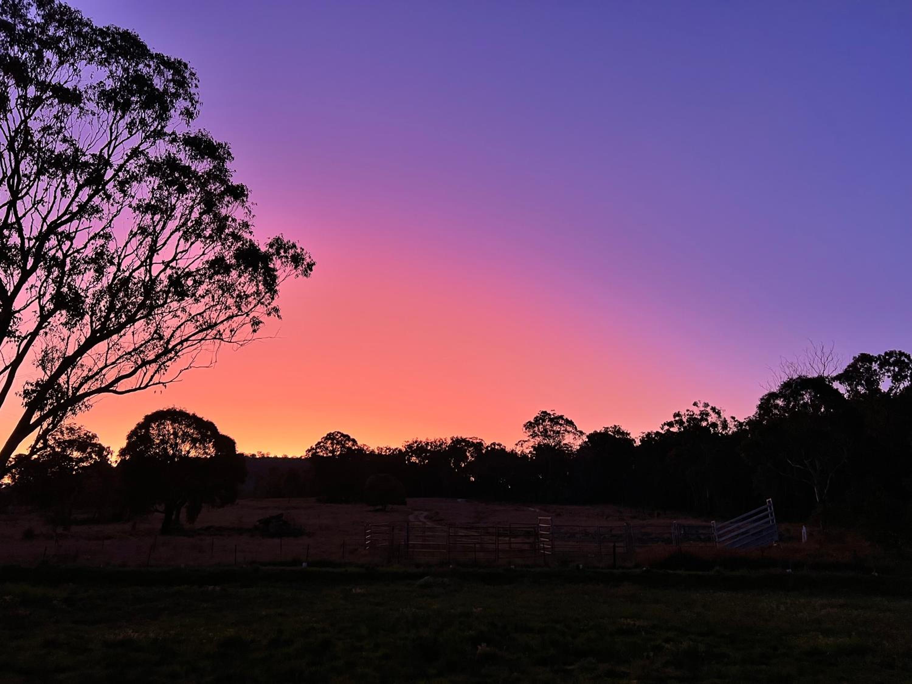 Pretty Pink Queenslander - Spectacular Views, Space and Serenity