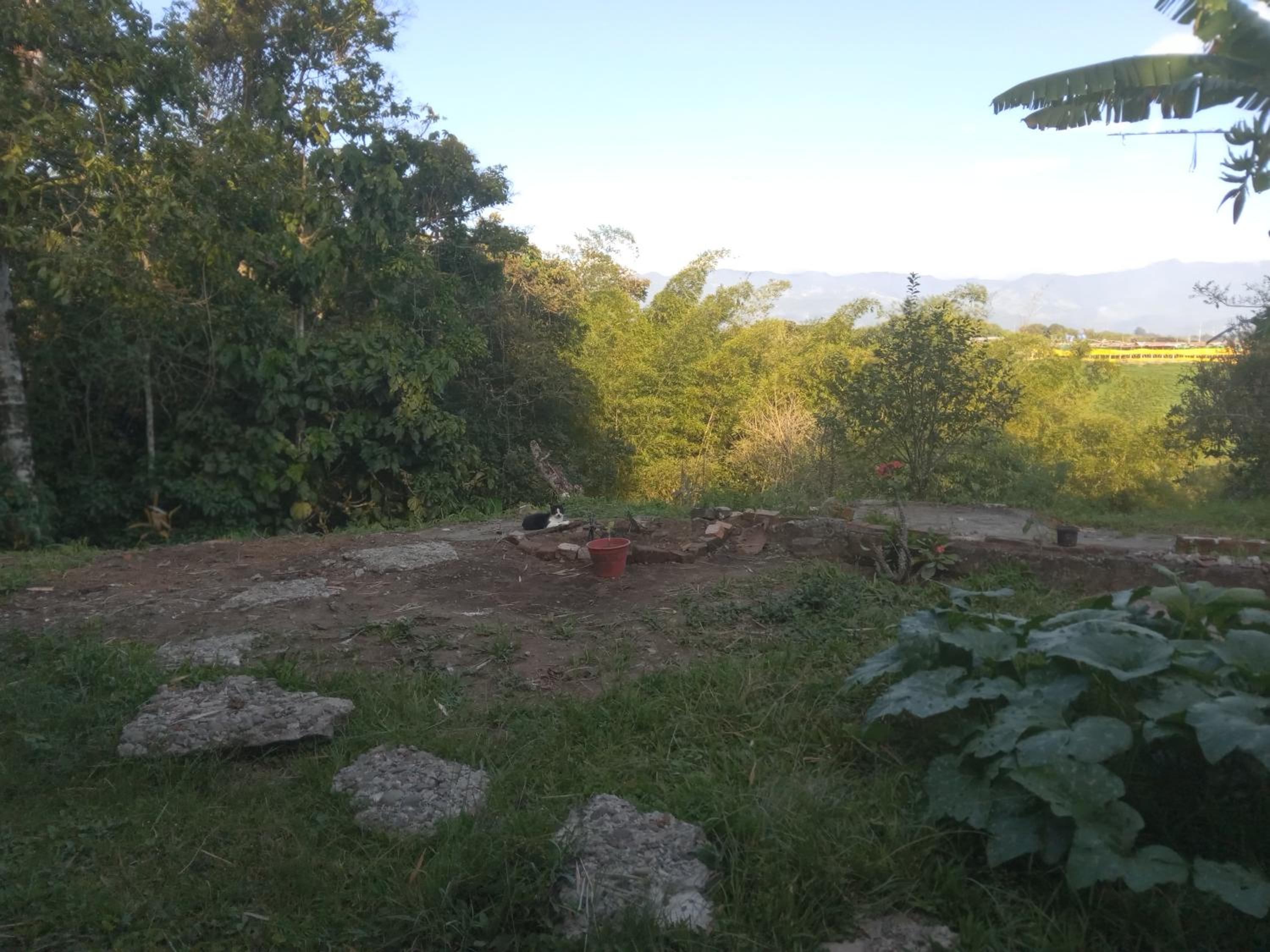 Alojamiento rural, Finca primavera
