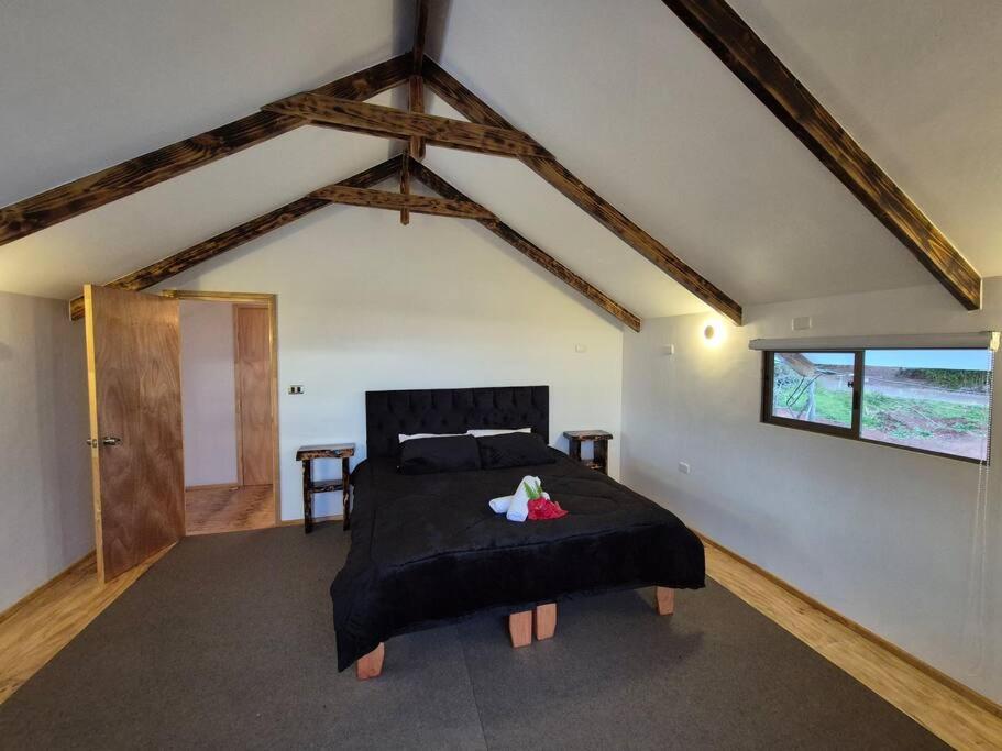 Te Rano Lodge