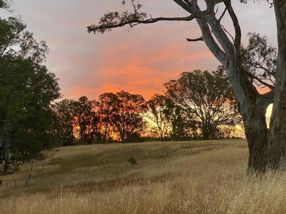 Fulham Homestead Historic rural large 3 bedroom Guesthouse
