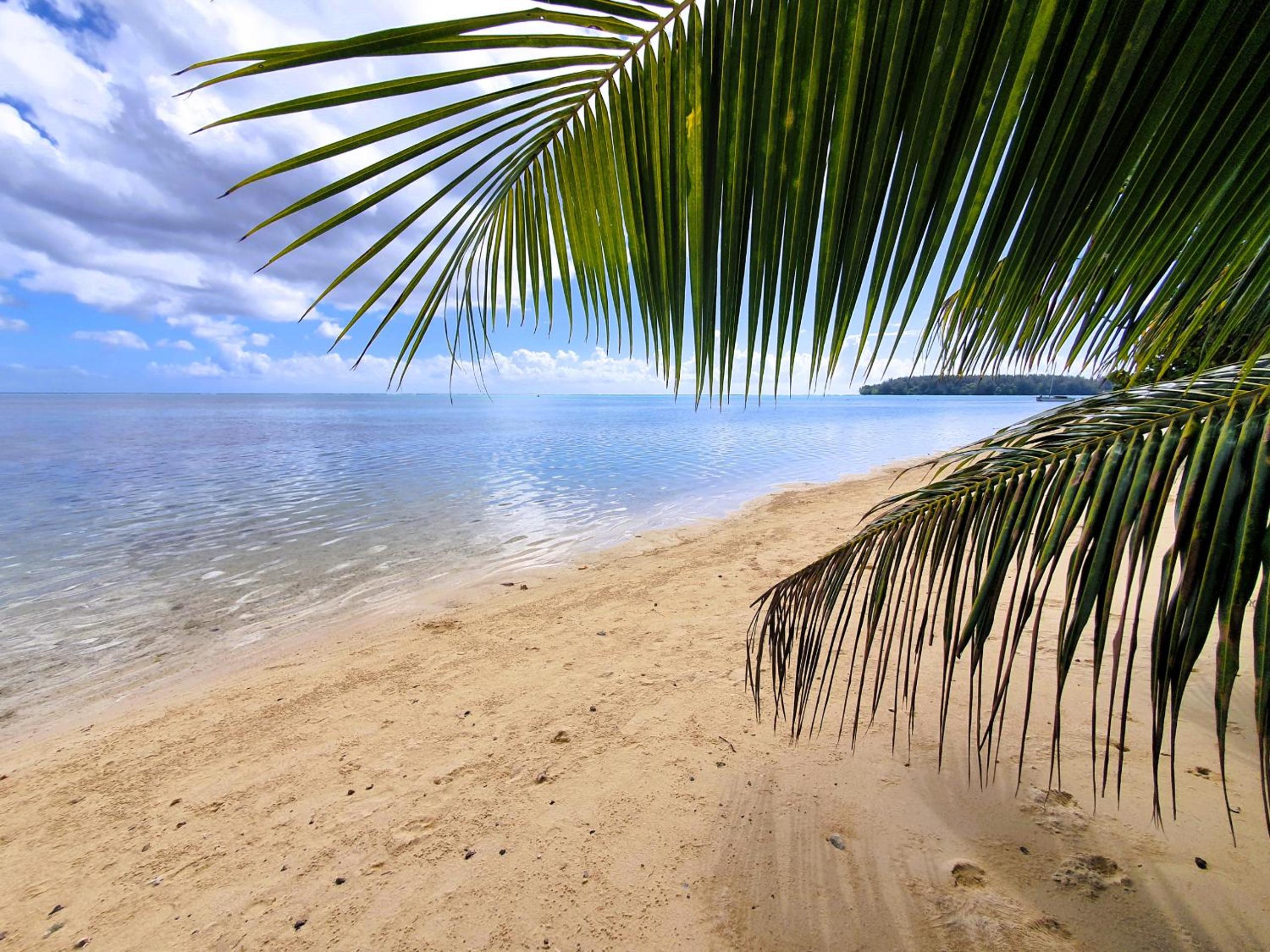 MOOREA - Tropical Bungalow