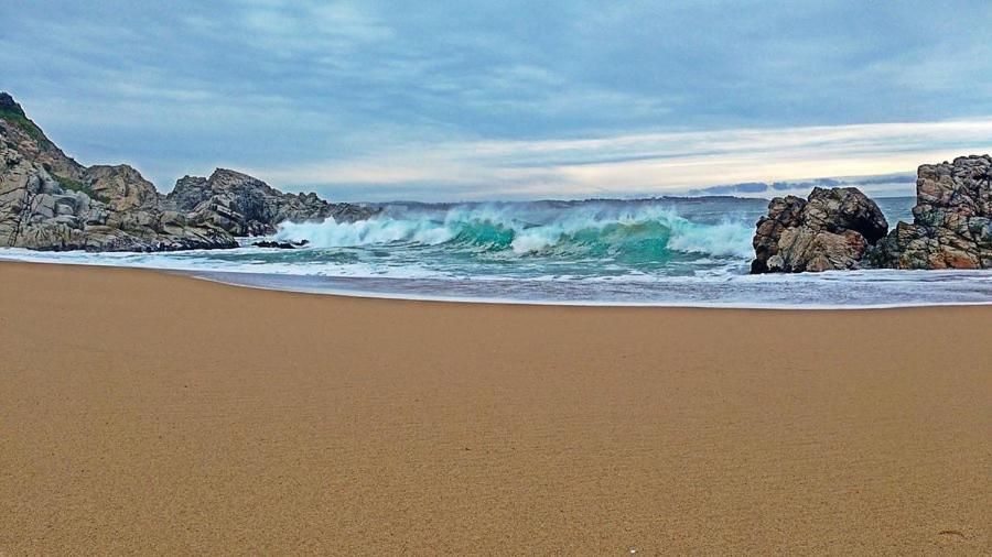 Cómodo departamento en Algarrobo