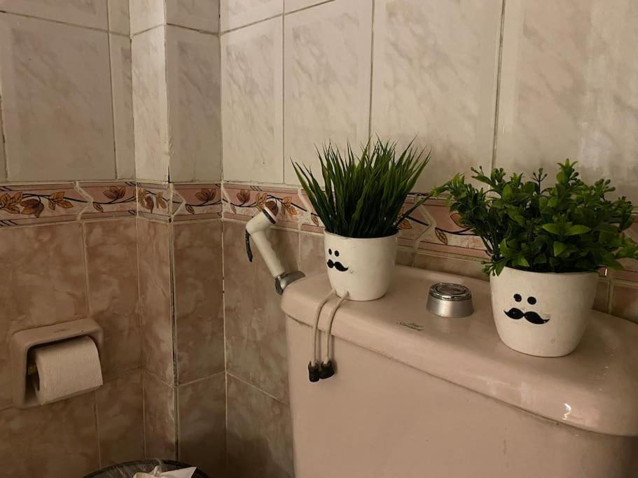 Full Apartment In Nasr City, AC, All amenties