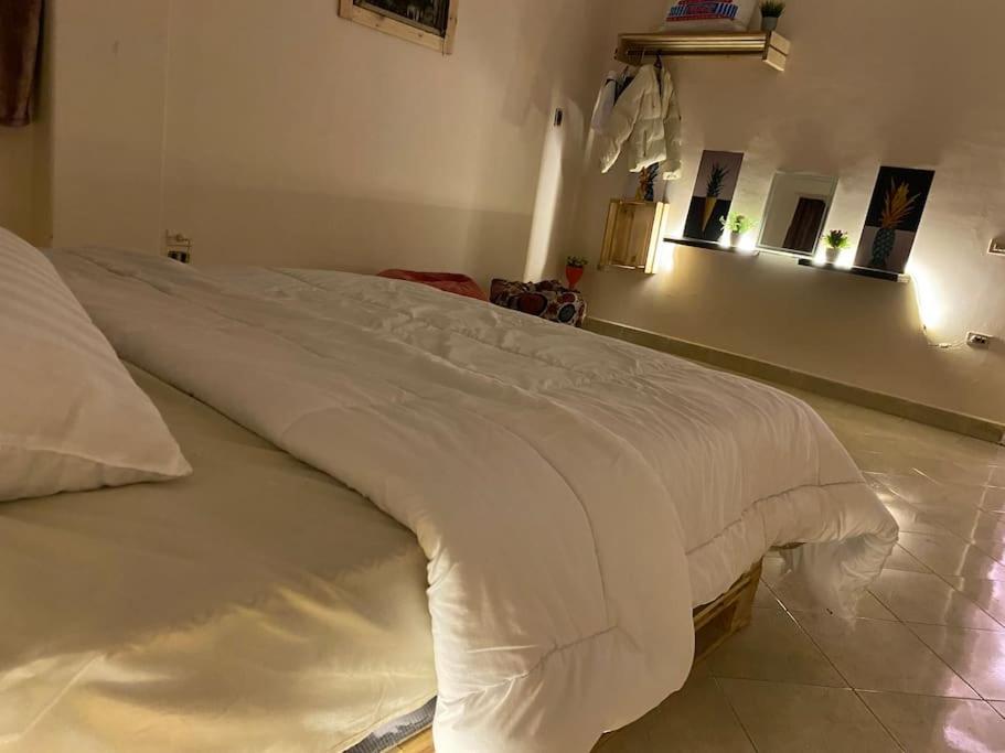 Full Apartment In Nasr City, AC, All amenties