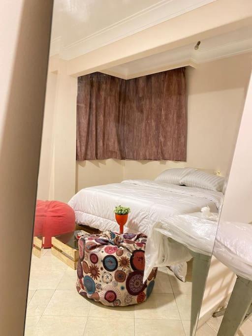 Full Apartment In Nasr City, AC, All amenties