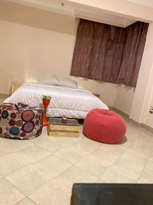 Full Apartment In Nasr City, AC, All amenties
