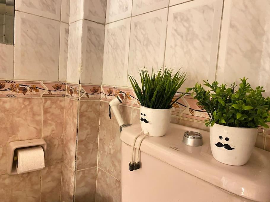 Full Apartment In Nasr City, AC, All amenties