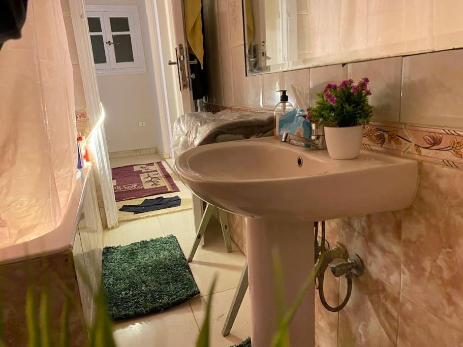 Full Apartment In Nasr City, AC, All amenties