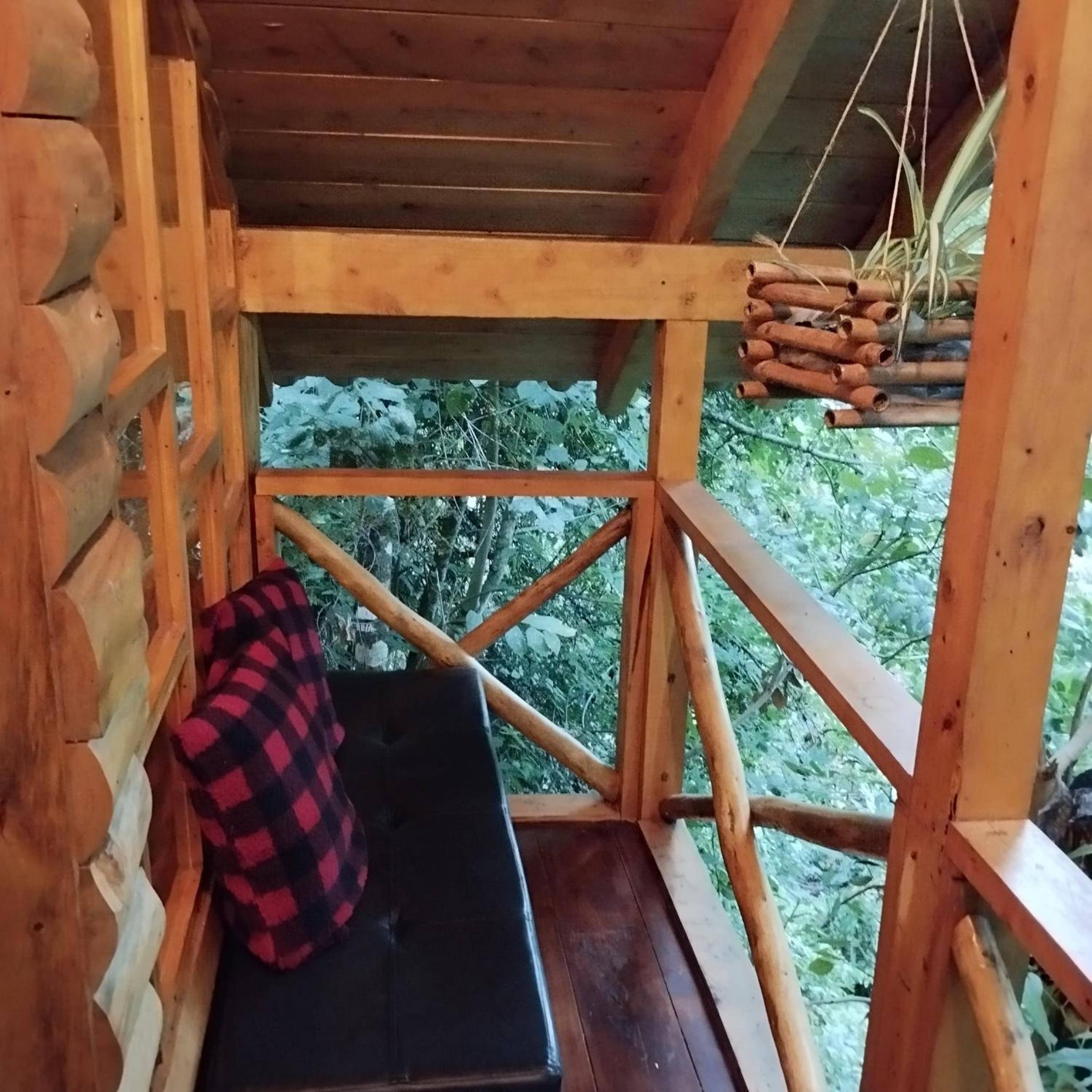 Jazmin de la Noche Cabañas y Camping