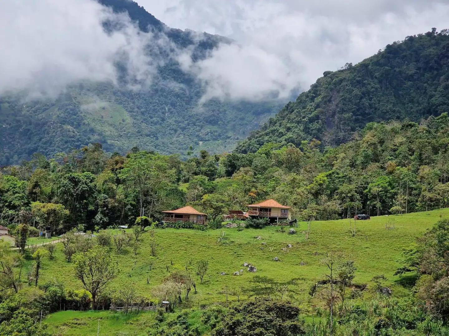 My Paradise Tamesis